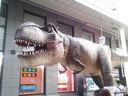 鶴亀松竹梅扇さんの柳ケ瀬の投稿写真2