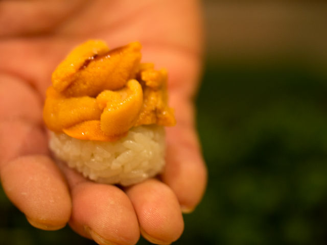 うに〜_菊鮨
