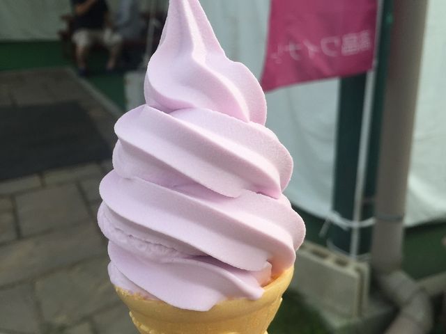 ぶどうソフト_高畠ワイナリー
