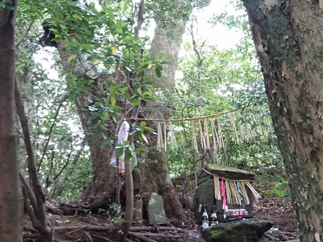 くしふる神社