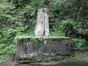 かけさんさんの国指定特別天然記念物「根反の大珪化木」の投稿写真1
