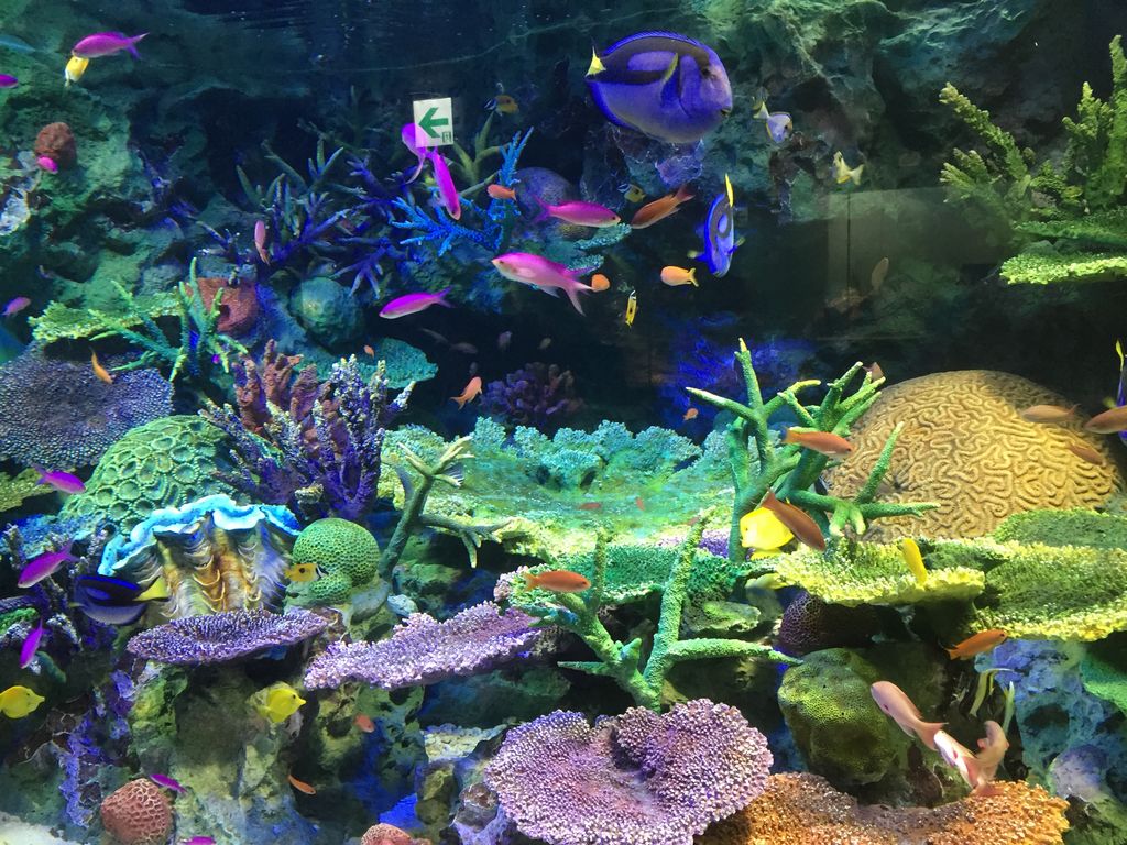 サンシャイン水族館