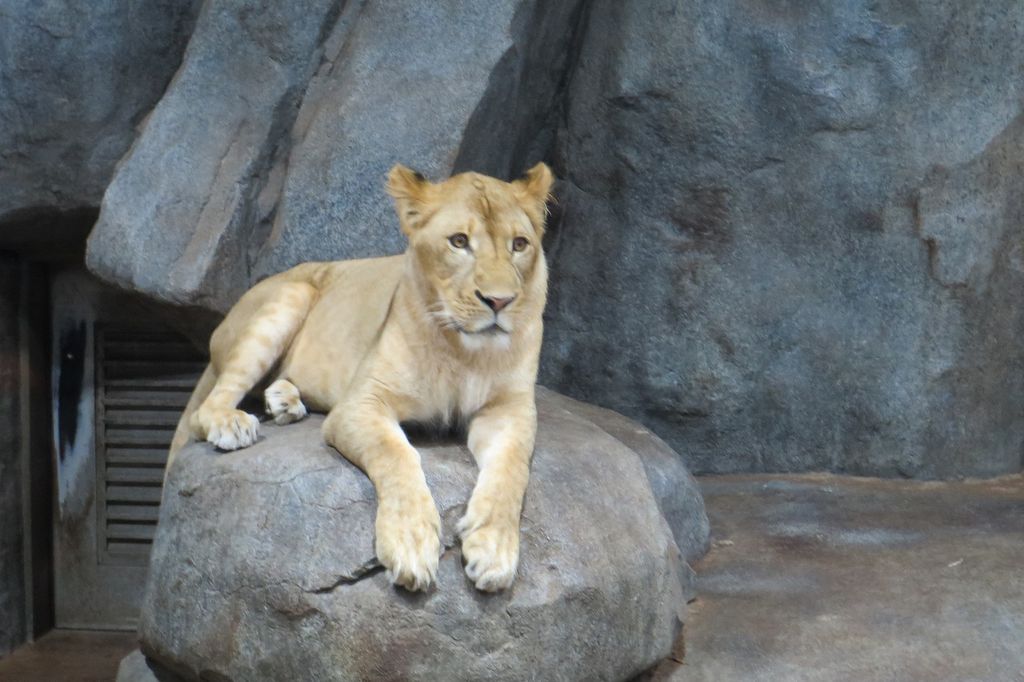 よこはま動物園ズーラシア