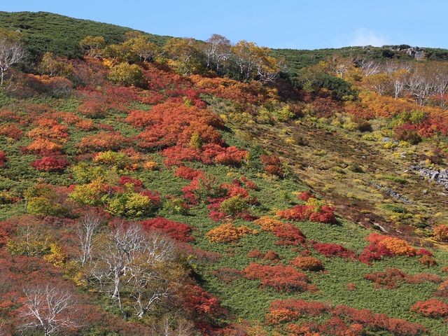 銀泉台の紅葉2_銀泉台