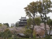 キヨさんの西尾市歴史公園の投稿写真1