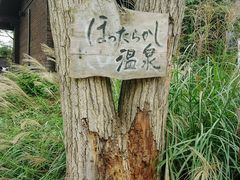 ななこさんのほったらかし温泉への投稿写真1
