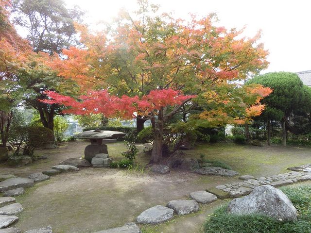 大原邸の庭の紅葉_杵築武家屋敷