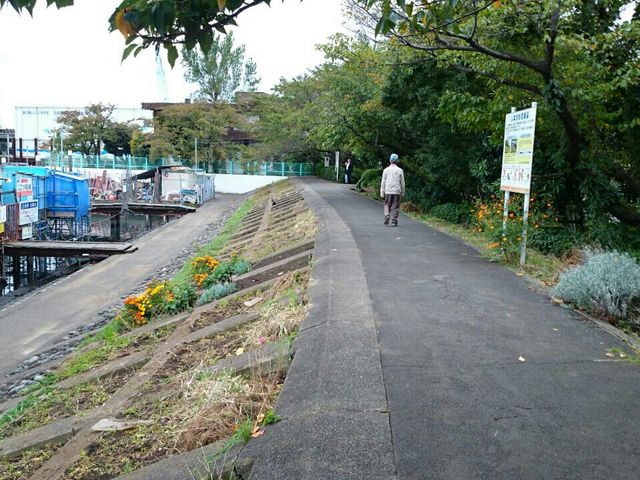 しながわ花海道