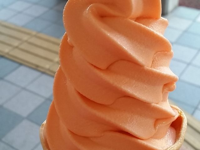 物産館コロボックル