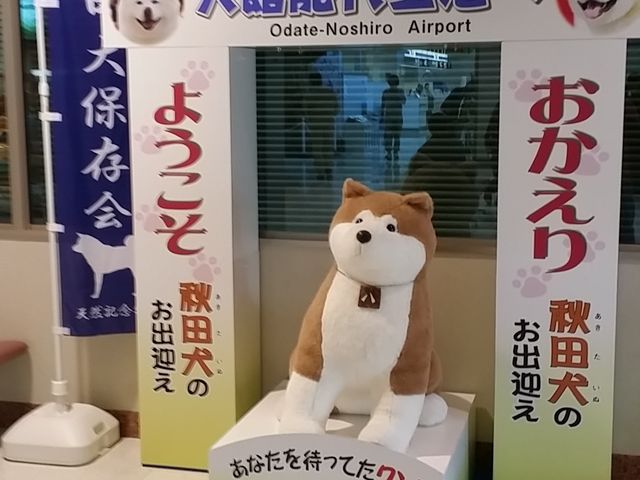 大館能代空港