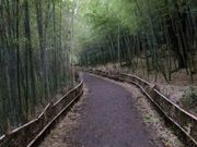センポさんの大高緑地の投稿写真1