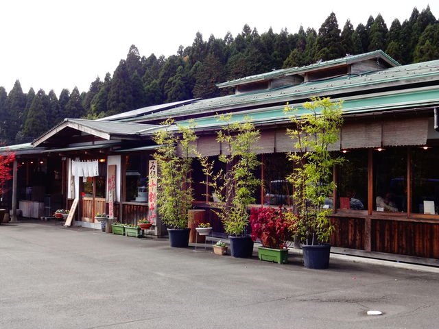 朽木旭屋_朽木旭屋