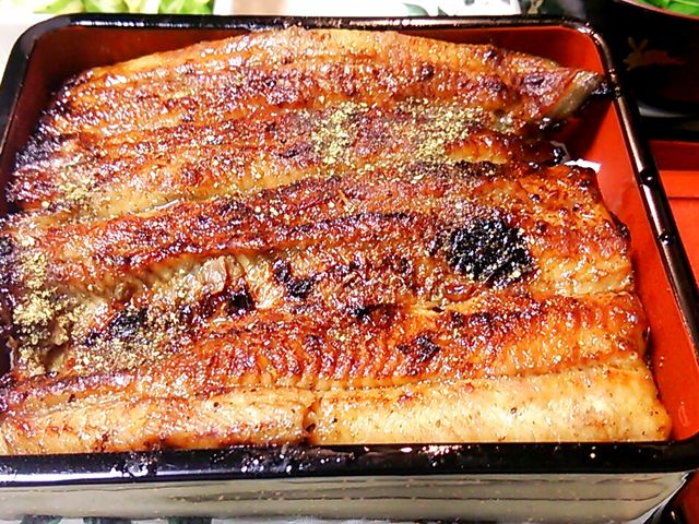 うなぎ_うなぎ処鰻田屋