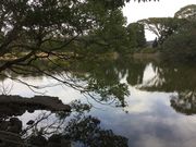 マイBOOさんの大瀬の神池の投稿写真1