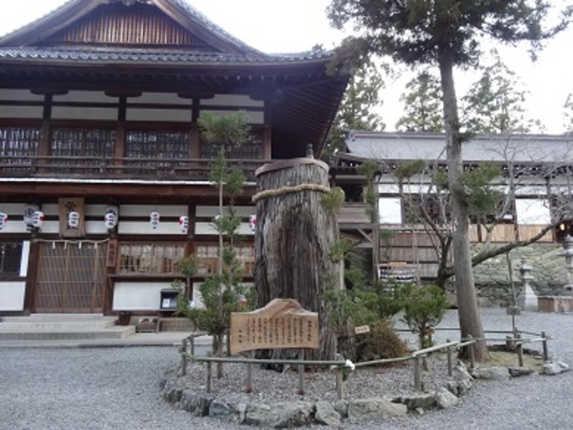 落雷で燃えた御神木_伊太祁曽神社