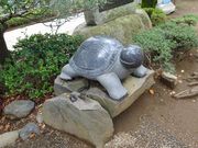 ponちゃんさんの松戸神社の投稿写真2