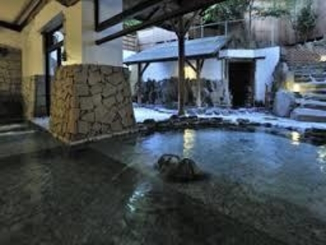 温泉も最高です。_箱根の湯 花紋
