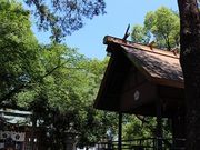 スマイルさんの山縣神社の投稿写真1