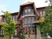 まこさんの文化のみち二葉館(名古屋市旧川上貞奴邸)の投稿写真1