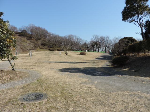 芝生広場_伊勢原市総合運動公園