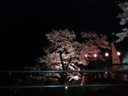 らんさんのながめ公園の投稿写真1