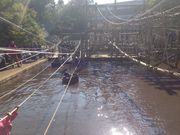 ha---iさんのフィールドアスレチック横浜つくし野コースの投稿写真1