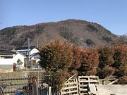 SHINさんの皆神山大日堂の清水の投稿写真1