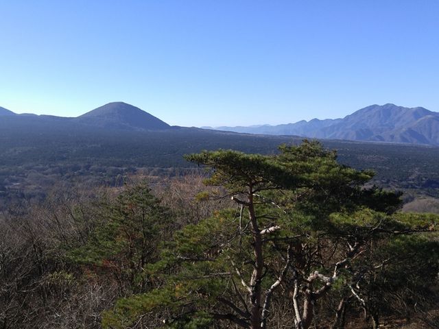本栖湖方向、樹海_紅葉台ドライブイン