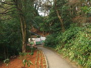 sklfhさんの美術の小径・緑の小径の投稿写真1