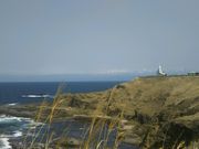 hulahulaさんのかもめ島公園の投稿写真1
