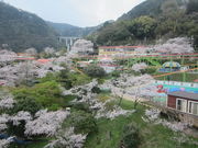 信さんの別府ラクテンチの投稿写真1