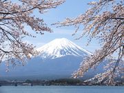 ニコちゃんさんの河口湖の投稿写真1