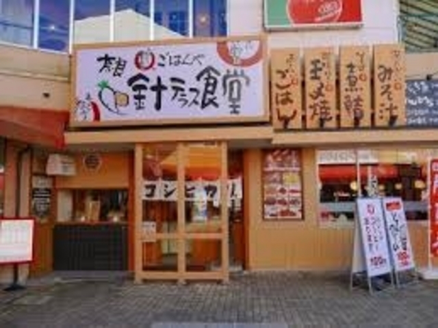 道の駅 針テラス