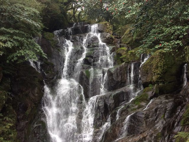 水量があって良かった_白糸の滝ふれあいの里