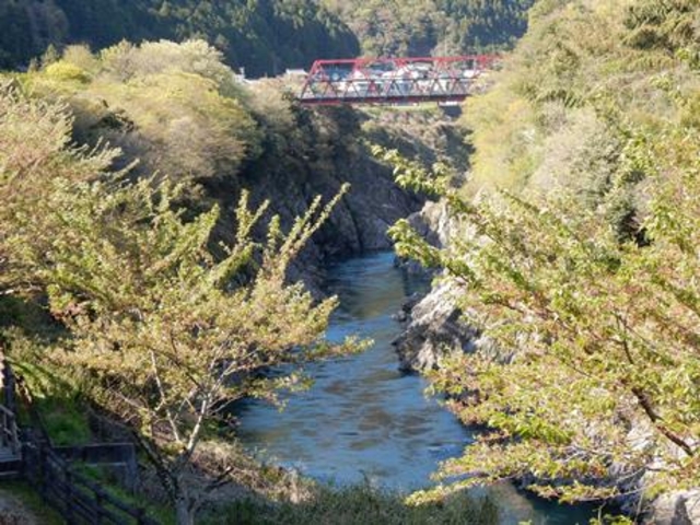 展望台からみる飛騨川の絶景_道の駅 ロック・ガーデンひちそう