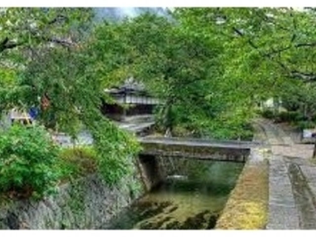 様子_哲学の道