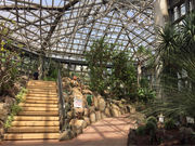 とんすけさんの市川市観賞植物園の投稿写真3