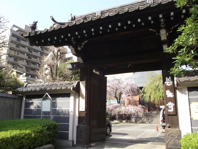 山 門_善性寺