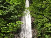 イワダイさんの鈴ヶ滝の投稿写真6