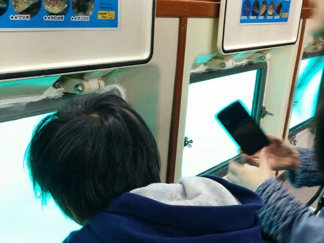 とまっているときに魚を見ることができました_半潜水式水中展望船 ベルクルーズいとう ゆーみんフック