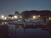 世田谷区等々力の住人さんの石神井池の投稿写真1