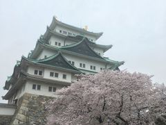 名古屋城の写真1