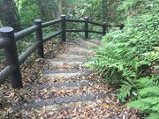 とんすけさんの大黒山展望台の投稿写真2