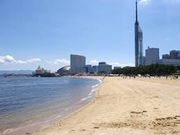 レナさんのシーサイドももち海浜公園の投稿写真1