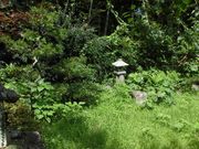 ぼりさんの広沢寺庭園の投稿写真1