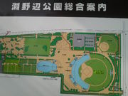 さとけんさんの淵野辺公園の投稿写真1