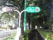 さとけんさんの淵野辺公園の投稿写真4