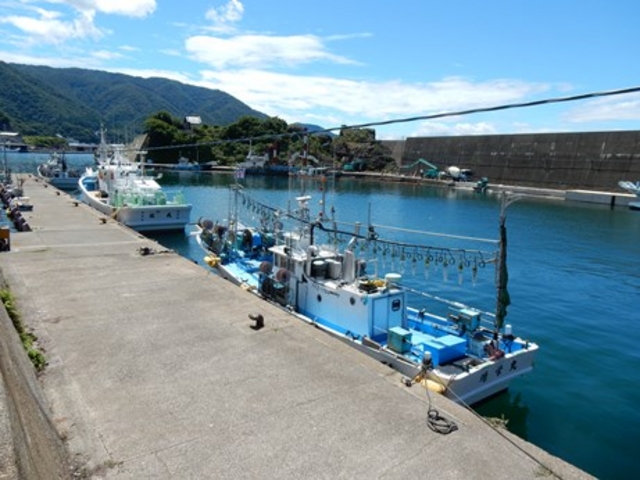 小樟漁港_越前漁港