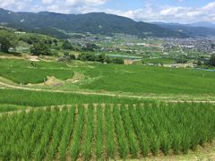 カッシーナさんの姨捨への投稿写真1