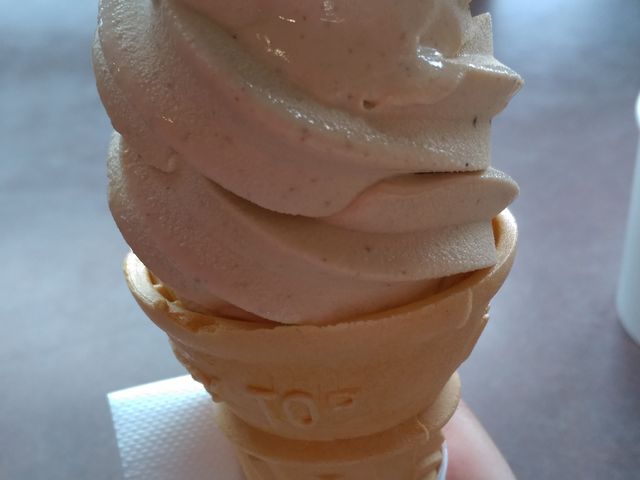 ひまわりの種ソフトクリーム_道の駅 三本木やまなみ